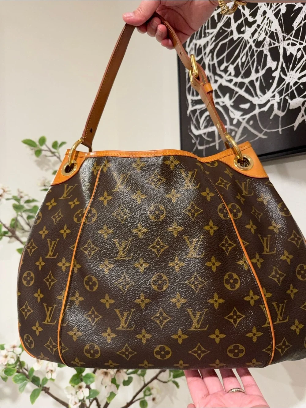 LV Galleria MM in Monogram